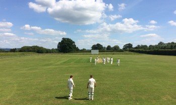 Cricket at CFCC